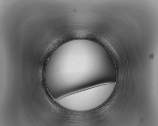 X0000090890497200707271042