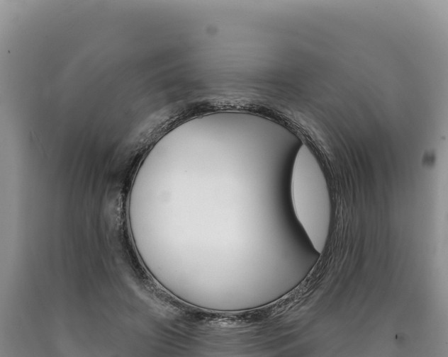 X0000090890498200707271042