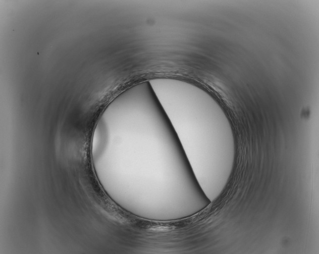 X0000090890499200707271042