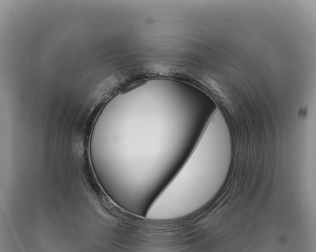 X0000090890500200707271042