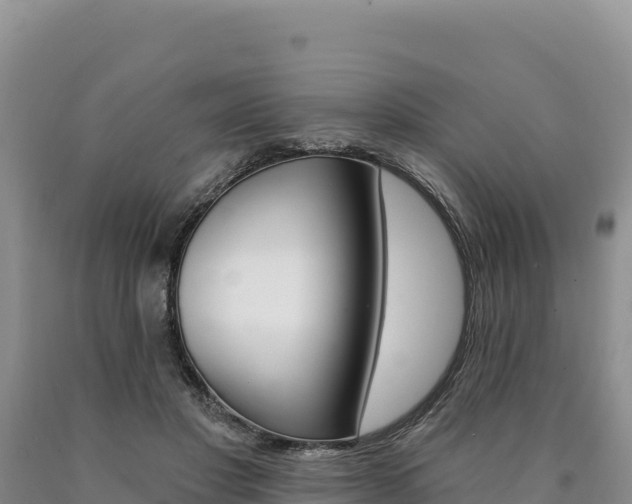 X0000090890501200707271041