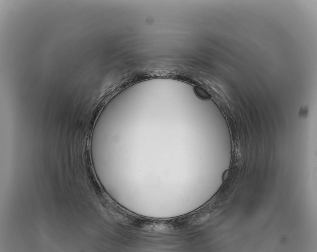 X0000090890503200707271041