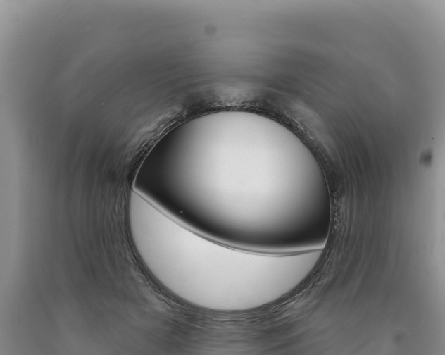 X0000090890505200707271041