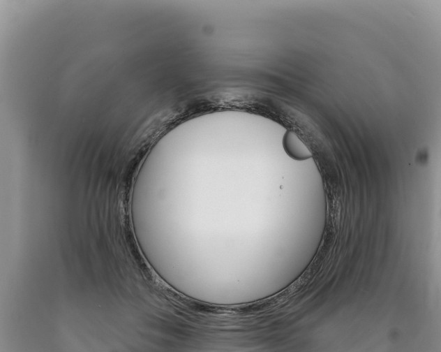 X0000090890506200707271041