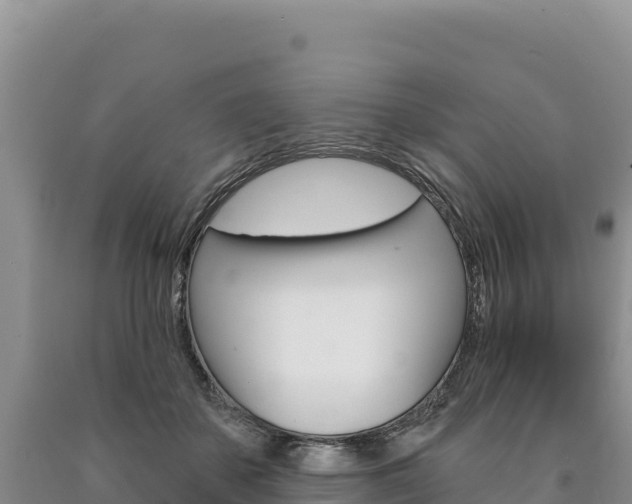 X0000090890507200707271041