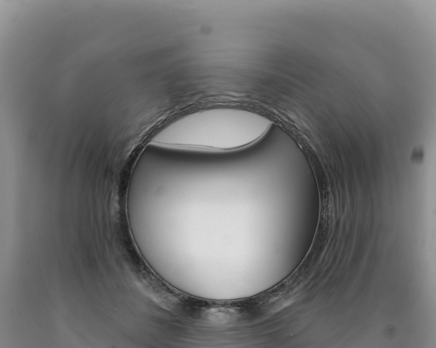 X0000090890508200707271041
