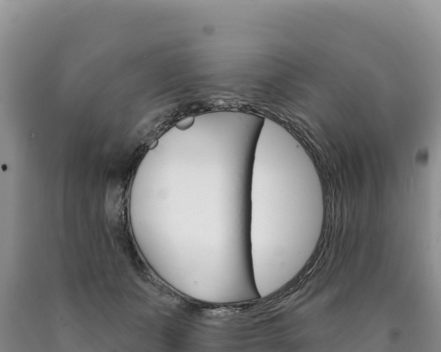 X0000090890511200707271041