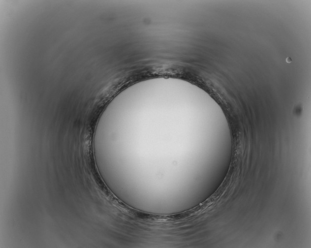 X0000090890513200707271041