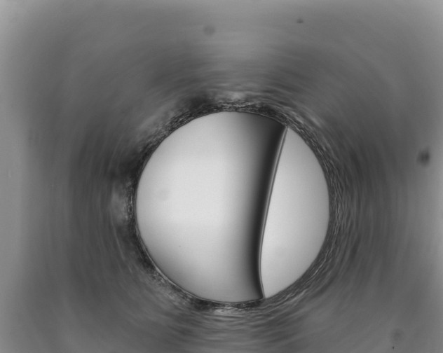X0000090890515200707271041