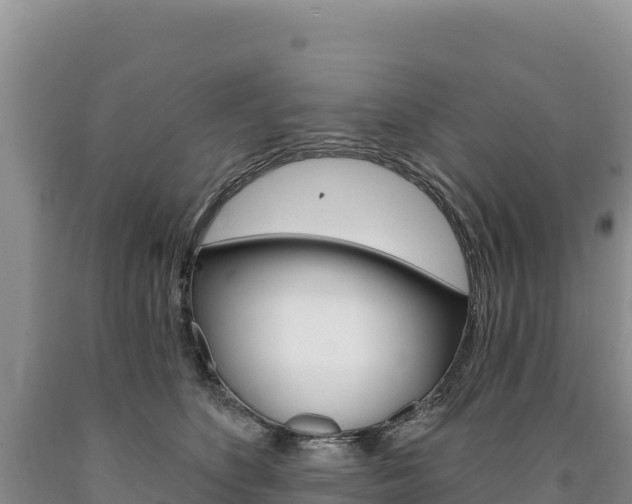 X0000090890516200707271041