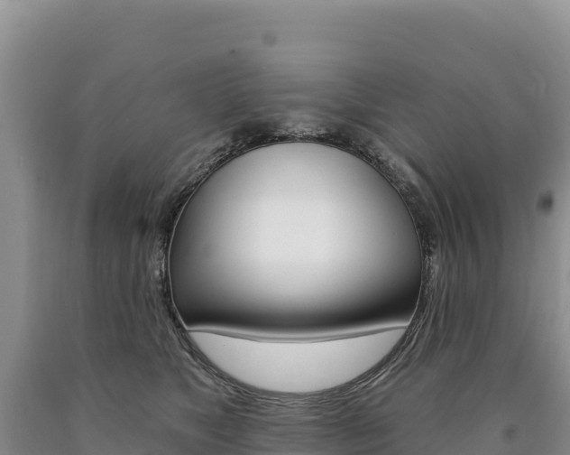 X0000090890517200707271041