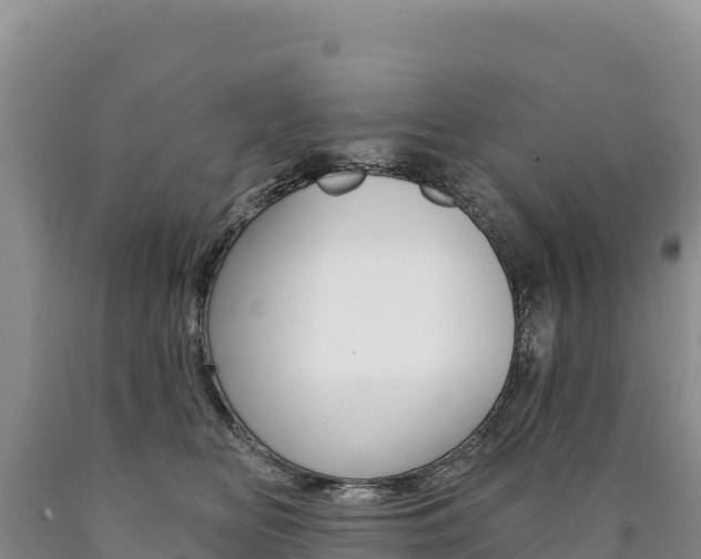 X0000090890518200707271041