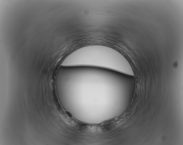 X0000090890520200707271041