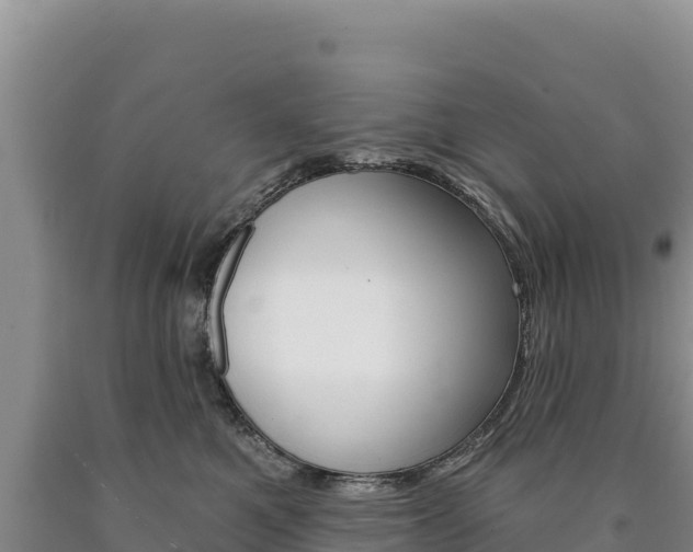 X0000090890521200707271041