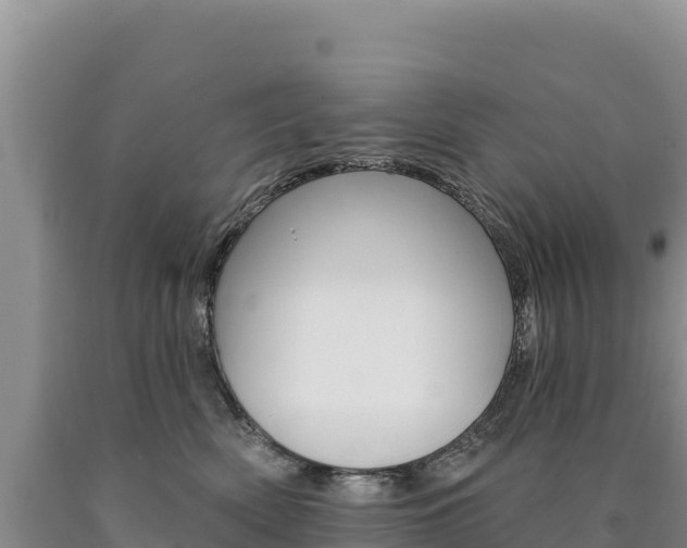 X0000090890522200707271041