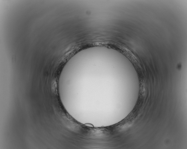X0000090890523200707271041