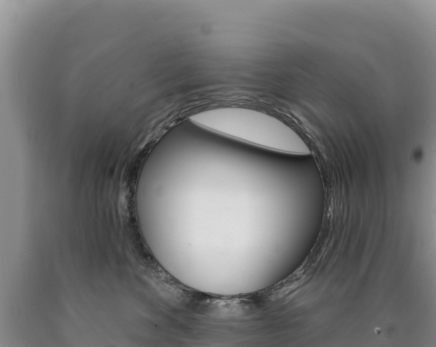 X0000090890524200707271041