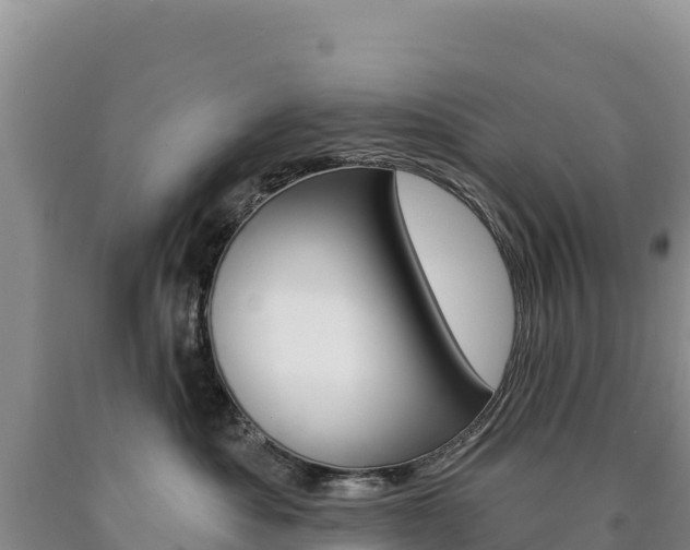 X0000090890525200707271041
