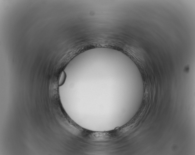 X0000090890526200707271041