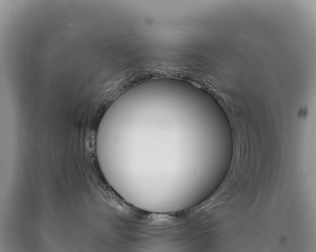 X0000090890528200707271041