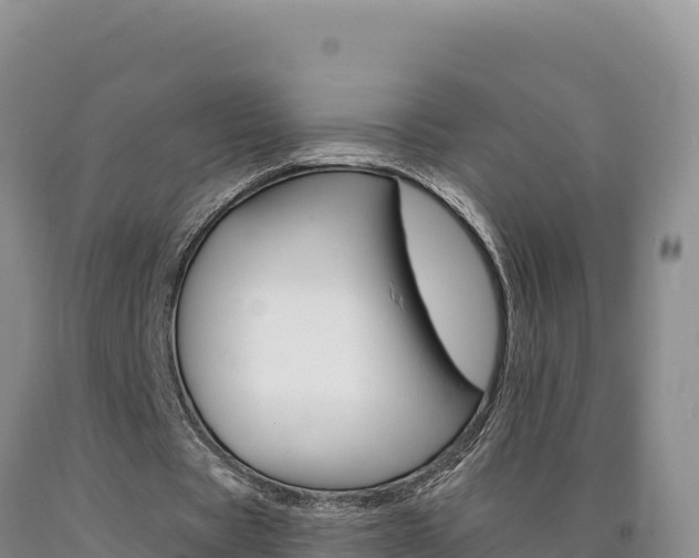 X0000090890529200707271040
