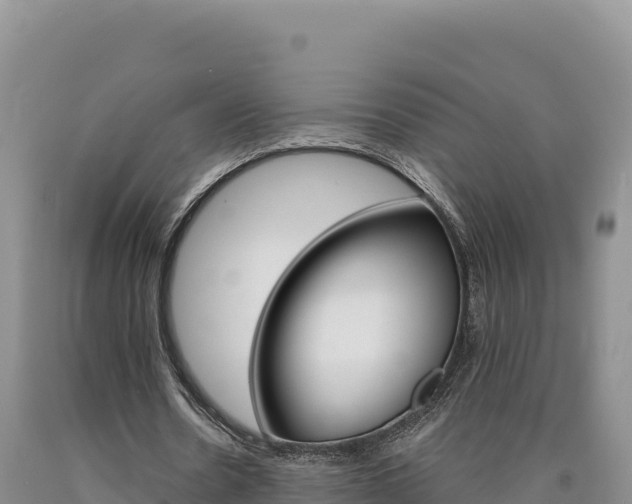 X0000090890530200707271040