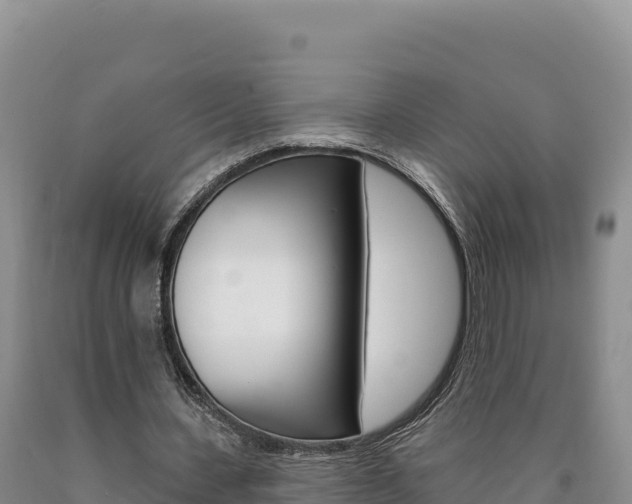 X0000090890531200707271040