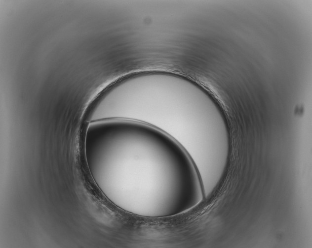 X0000090890532200707271040