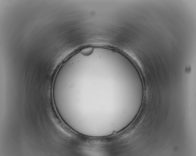 X0000090890533200707271040