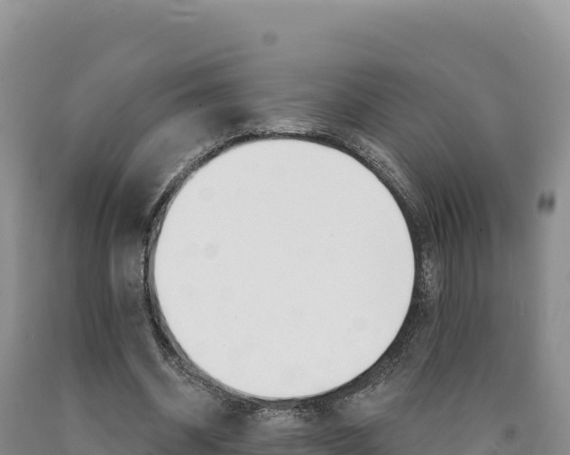 X0000090890534200707271040