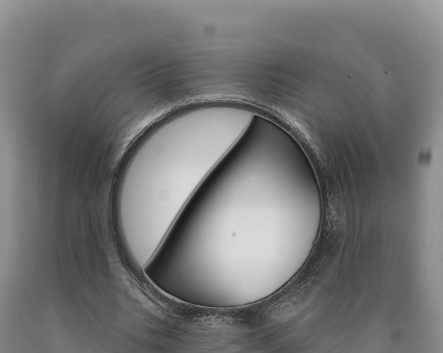 X0000090890535200707271040