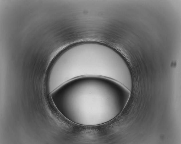 X0000090890536200707271040