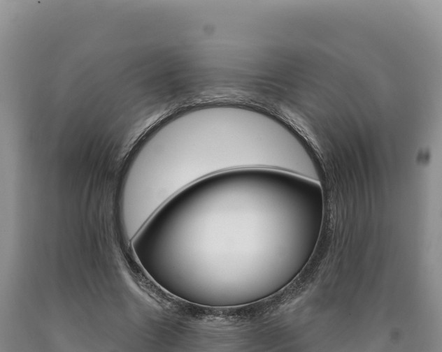X0000090890538200707271040