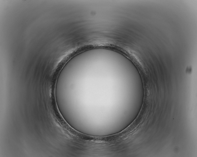 X0000090890539200707271040