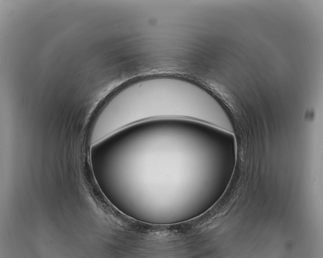 X0000090890540200707271040