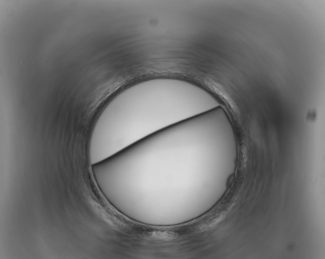 X0000090890541200707271040