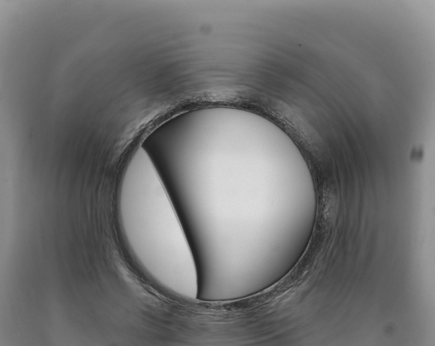 X0000090890542200707271040