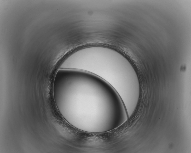 X0000090890544200707271040