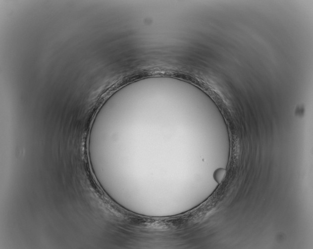 X0000090890545200707271040
