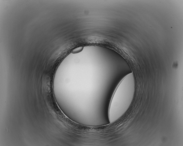 X0000090890547200707271040