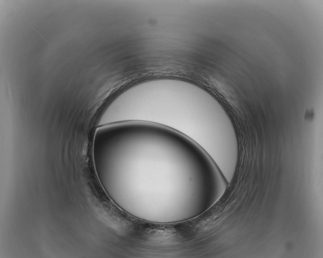 X0000090890548200707271040