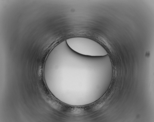 X0000090890549200707271040
