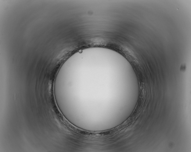 X0000090890550200707271040