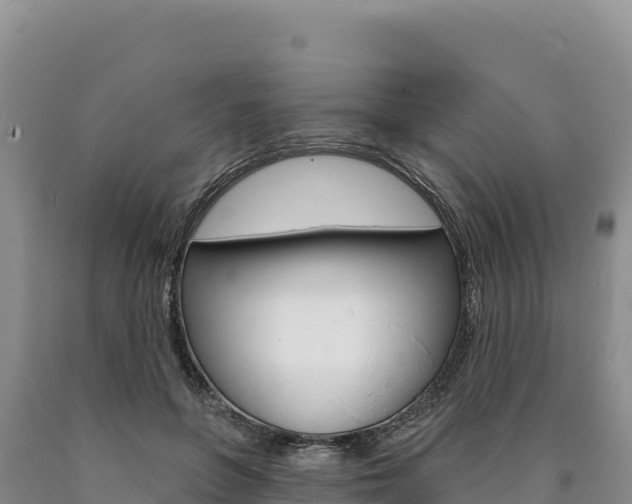 X0000090890551200707271040