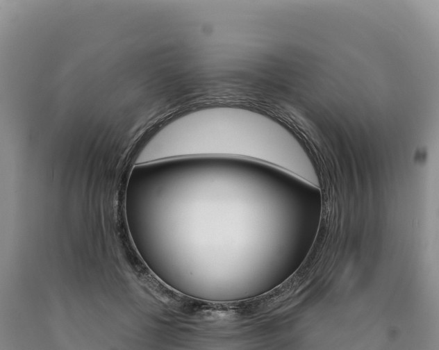 X0000090890552200707271041