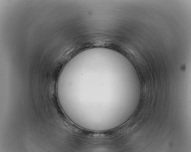 X0000090890554200707271041