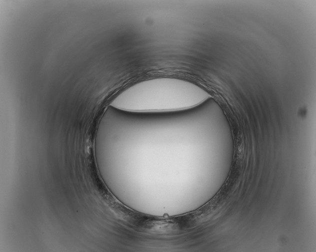X0000090890555200707271041