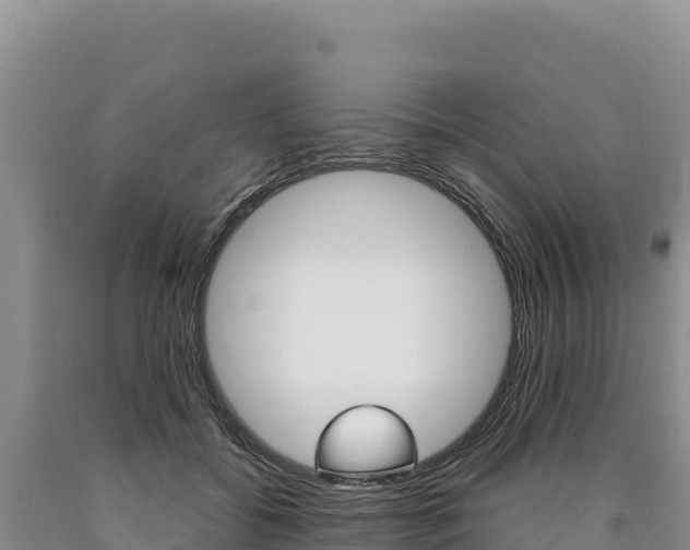 X0000090890556200707271041