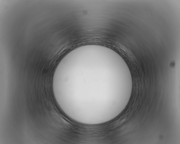 X0000090890558200707271041