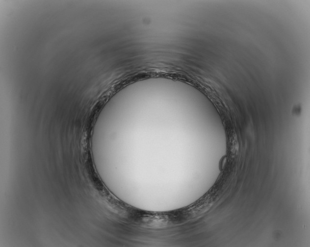 X0000090890559200707271041